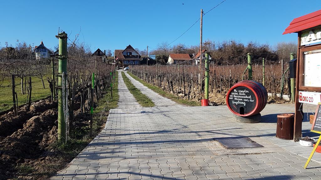Villa Nora Hévíz 外观 照片